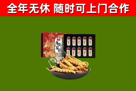 华容县回收冬虫夏草价格